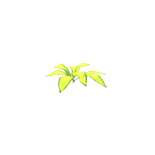 Plant3 - 5